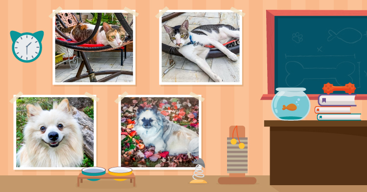 Teacher’s Pet: January/February 2024