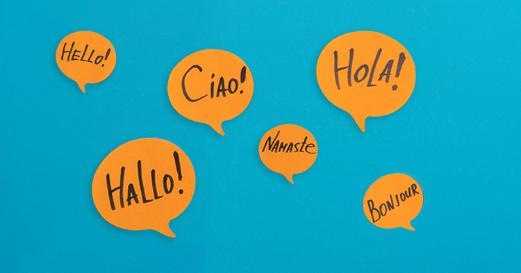 Bonjour, My Friend: Understanding Minority Language Rights