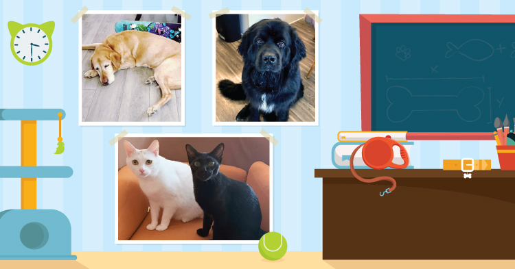 Teacher’s Pet: March/April 2023