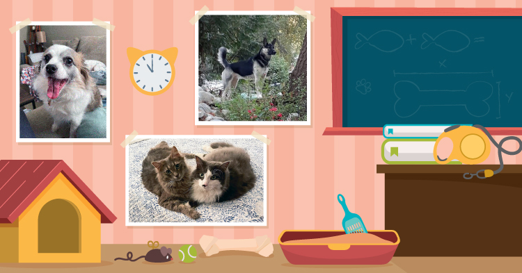 Teacher’s Pet: May/June 2024