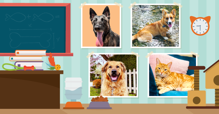 Teacher’s Pet: March/April 2024