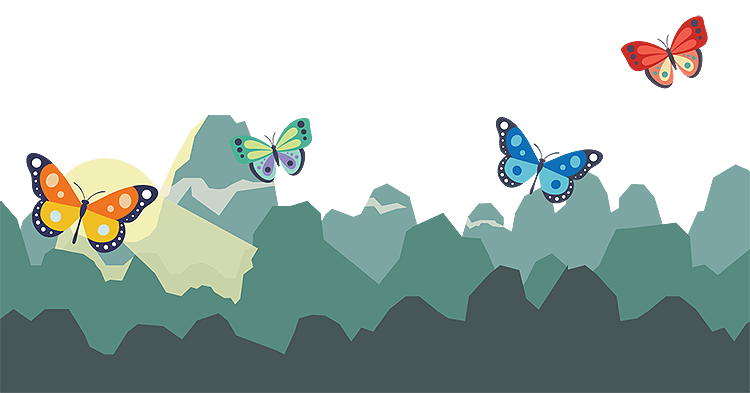Learning About Butterflies