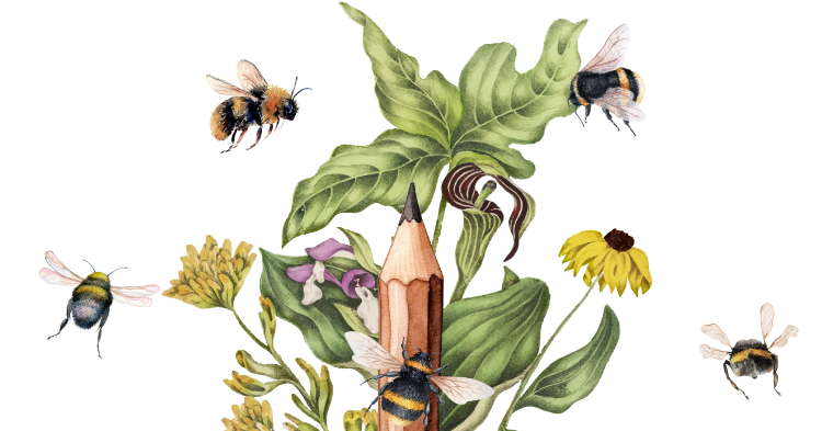 The Importance of Bees: Teaching Kids about Pollinators