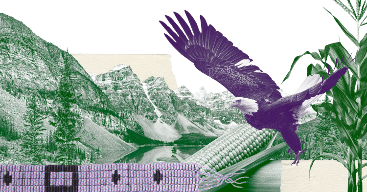 What Is a Treaty?